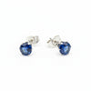Orecchini Punto luce acciaio 316 L cristalli blu